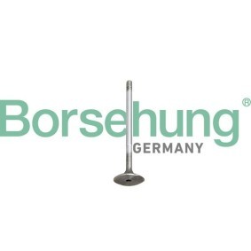 Comprar Juego de aros de pistón de Borsehung B10345 a bajo precio de 14,65 €
