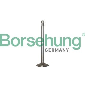 Acquista Kit fasce elastiche da Borsehung B10347 a buon mercato per soli 26,06 €