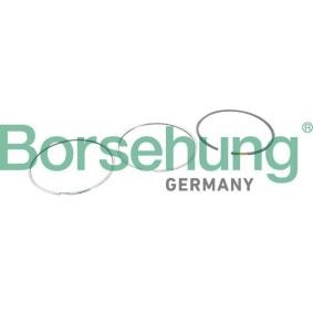 Achetez des Jeu de segments de pistons Borsehung B10364 à prix pour 42,15 €