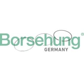 Achetez des Jeu de segments de pistons Borsehung B10368 à prix pour 31,25 €