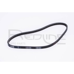 Comprar Correa trapecial poli V de RED-LINE 993PK665 a bajo precio de 8,57 €