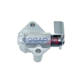 Comprar Tensor de cadena de distribución de BOGAP A1312113 a bajo precio de 49,80 €
