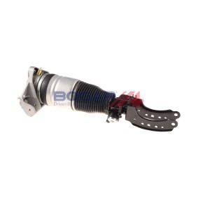 Acquista Ammortizzatore pneumatico da BOGAP A3426111 a buon mercato per soli 772,11 €