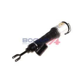 Acquista Ammortizzatore pneumatico da BOGAP A3426114 a buon mercato per soli 669,63 €