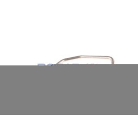 Achetez des Bouchon de liquide de refroidissement BOGAP A4211104 à prix pour 7,13 €