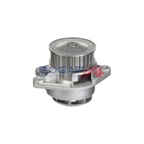 Köp Vattenpump av BOGAP A4234176 till det låga priset 424,68 kr