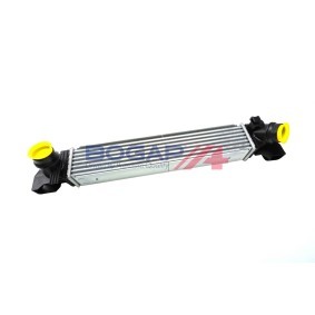 Acquista Sensore, Temperatura refrigerante da BOGAP B4126101 a buon mercato per soli 9,82 €