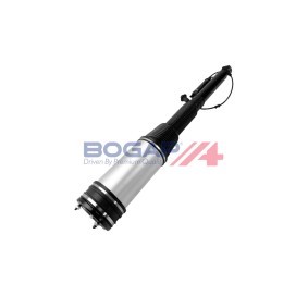 Luftfederbein des Herstellers BOGAP - Originalware Artikelnummer: C3426124