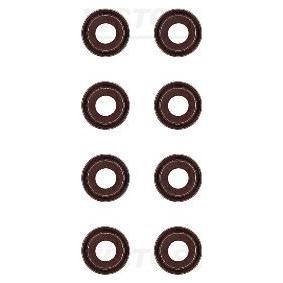 Comprar Juego de juntas, vástago de válvula de REINZ 12-53067-01 a bajo precio de 15,60 €