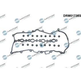 Achetez des Jeu de joints d'étanchéité, couvercle de culasse DR.MOTOR AUTOMOTIVE DRM01738S à prix pour 41,99 €