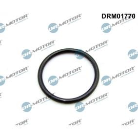 FIAT Ansaugkrümmerdichtung von DR.MOTOR AUTOMOTIVE