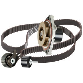 Achetez des Kit de distribution + pompe à eau RIDEX 3096W0517 à prix pour 103,87 €
