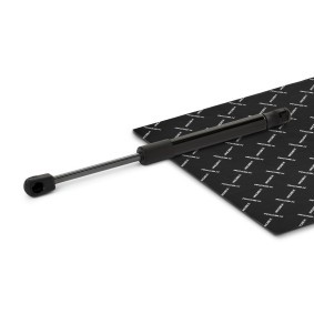 Heckklappendämpfer 219G1251 von RIDEX günstig für 10,80 € online kaufen