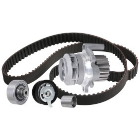 Wasserpumpe + Zahnriemensatz 3096W0579