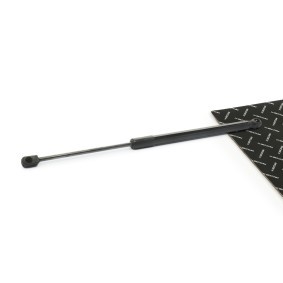 Heckklappendämpfer 219G1274 von RIDEX günstig für 10,68 € online kaufen