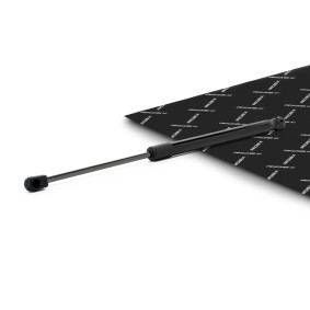Achetez des Vérin de coffre RIDEX 219G1287 à prix pour 14,21 €
