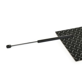 Achetez des Vérin de coffre RIDEX 219G1289 à prix pour 14,78 €