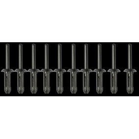 Achetez des Rivet SW-Stahl 42761L-2 à prix pour 12,46 €