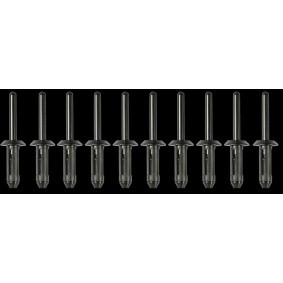 Achetez des Rivet SW-Stahl 42761L-4 à prix pour 12,46 €