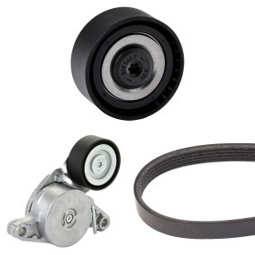 Keilrippenriemensatz 542R1135 MINI PACEMAN von RIDEX