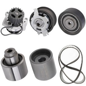 Achetez des Kit de distribution + pompe à eau RIDEX 3096W0625 à prix pour 167,11 €