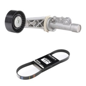 Keilrippenriemensatz 542R1159 MINI PACEMAN von RIDEX