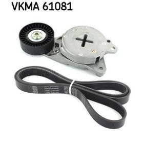 Achetez des Kit de courroie d'accessoire de chez SKF en ligne pour Urban Cruiser (_P1_) à prix modérés