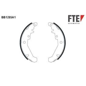 Comprar Juego de zapatas de frenos de FTE 9100062 a bajo precio de 31,42 €