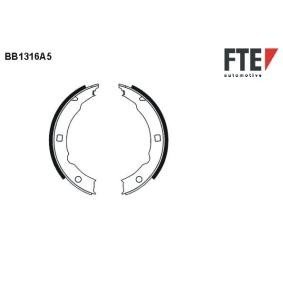 Comprar Zapata de freno de mano de FTE 9100079 a bajo precio de 42,03 €