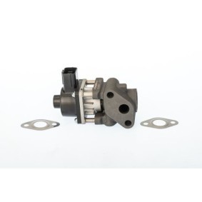 Comprar Válvula EGR de WAHLER 711024D a bajo precio de 74,52 €