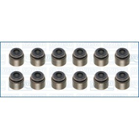 Dichtungssatz, Ventilschaft 57095300