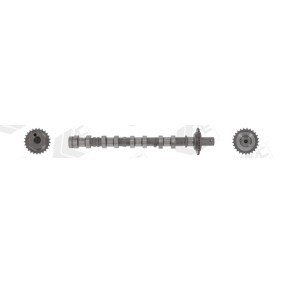 Nockenwelle CAM1041