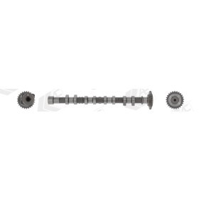 Nockenwelle CAM1042