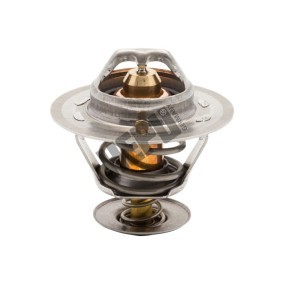 Achetez des Thermostat d'eau HEPU TM1283 à prix pour 21,51 €