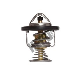 Kühlwasserthermostat von HEPU TM1287