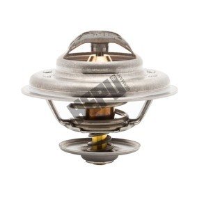 Achetez des Thermostat d'eau HEPU TM1294 à prix pour 19,72 €