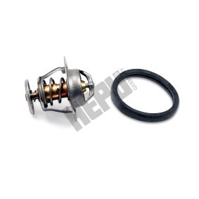 Kühlwasserthermostat von HEPU TM1316