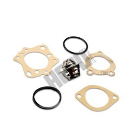 Achetez des Thermostat d'eau HEPU TM1323 à prix pour 20,69 €