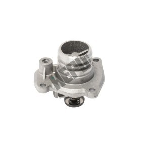 Achetez des Thermostat d'eau HEPU TM1336 à prix pour 33,00 €