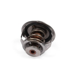 AUDI Kühlwasserthermostat von GK