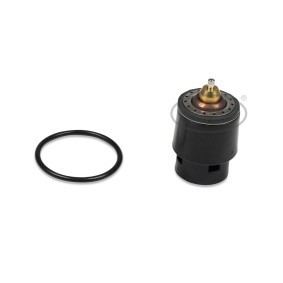 AUDI Kühlwasserthermostat von GK