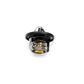 Achetez des Thermostat d'eau GK 701270 à prix pour 26,95 €