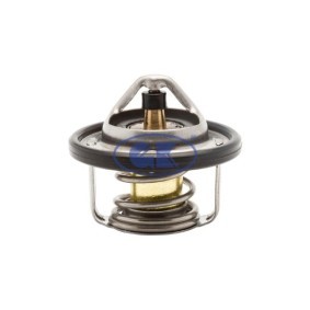 Achetez des Thermostat d'eau GK 701276 à prix pour 28,46 €