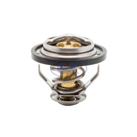 Achetez des Thermostat d'eau GK 701277 à prix pour 30,44 €