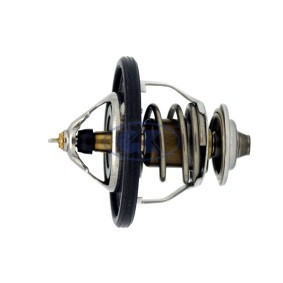 Achetez des Thermostat d'eau GK 701325 à prix pour 26,77 €