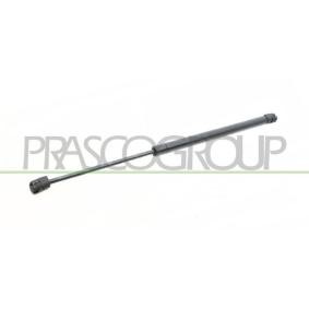 Heckklappendämpfer für MINI von PRASCO