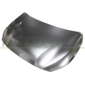 Motorhaube PG3303110