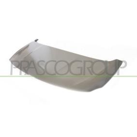 Motorhaube PG9133100