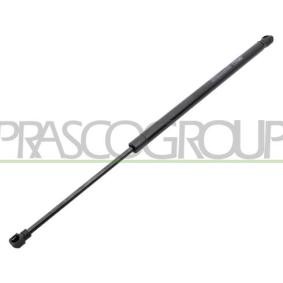 Heckklappendämpfer für VW von PRASCO