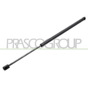 Heckklappendämpfer für VW von PRASCO
